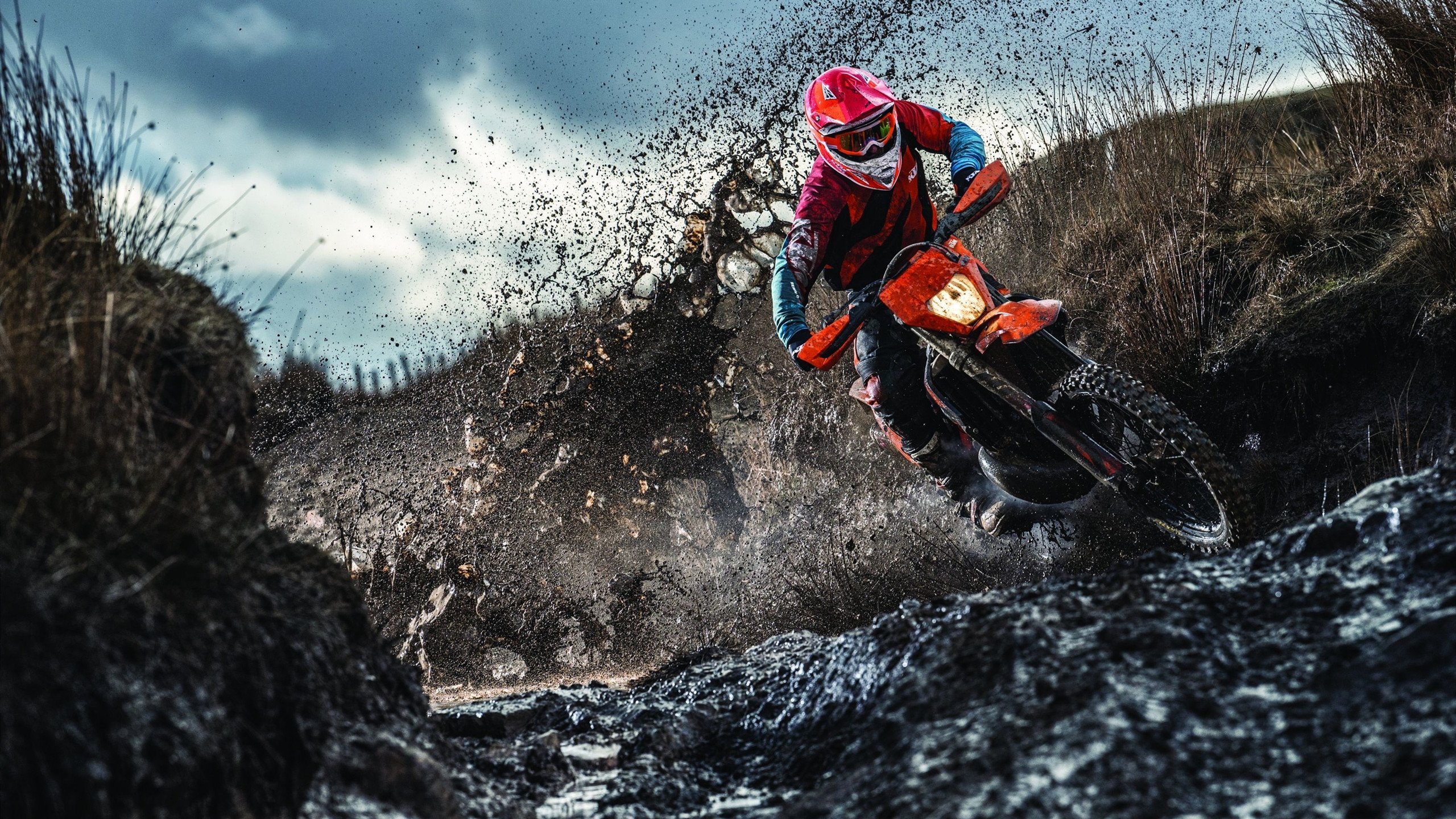 Doinb重要时刻重要助攻,TL带队取胜!上演精彩一战